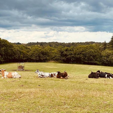 Appartamento Escapade Dans Un Ranch Le Sourn Esterno foto