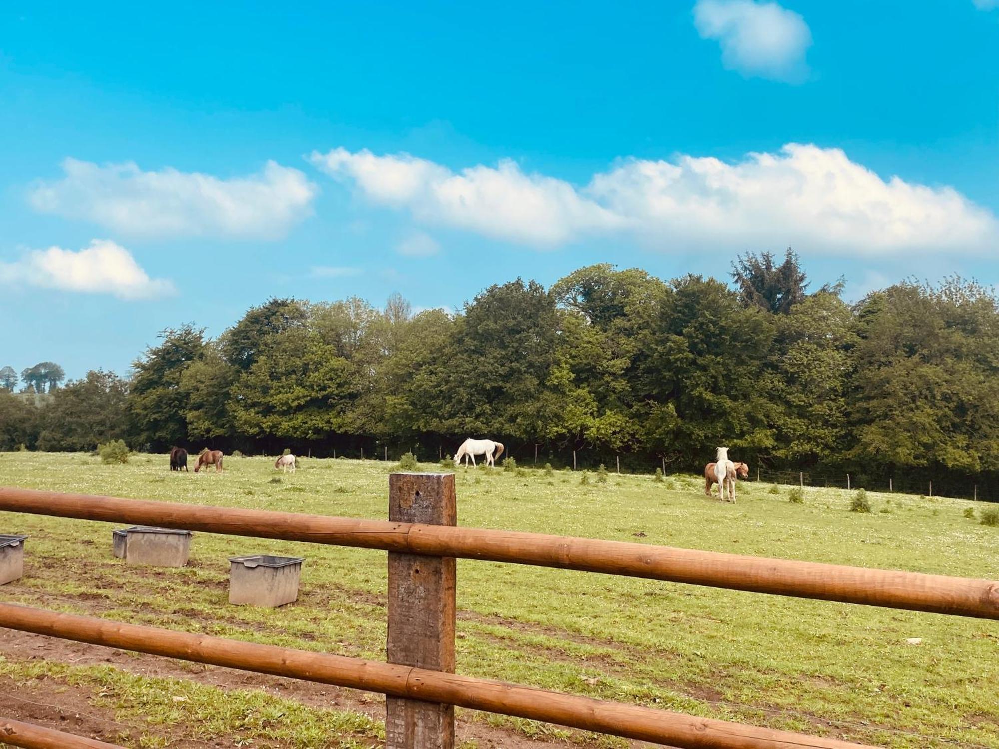 Appartamento Escapade Dans Un Ranch Le Sourn Esterno foto