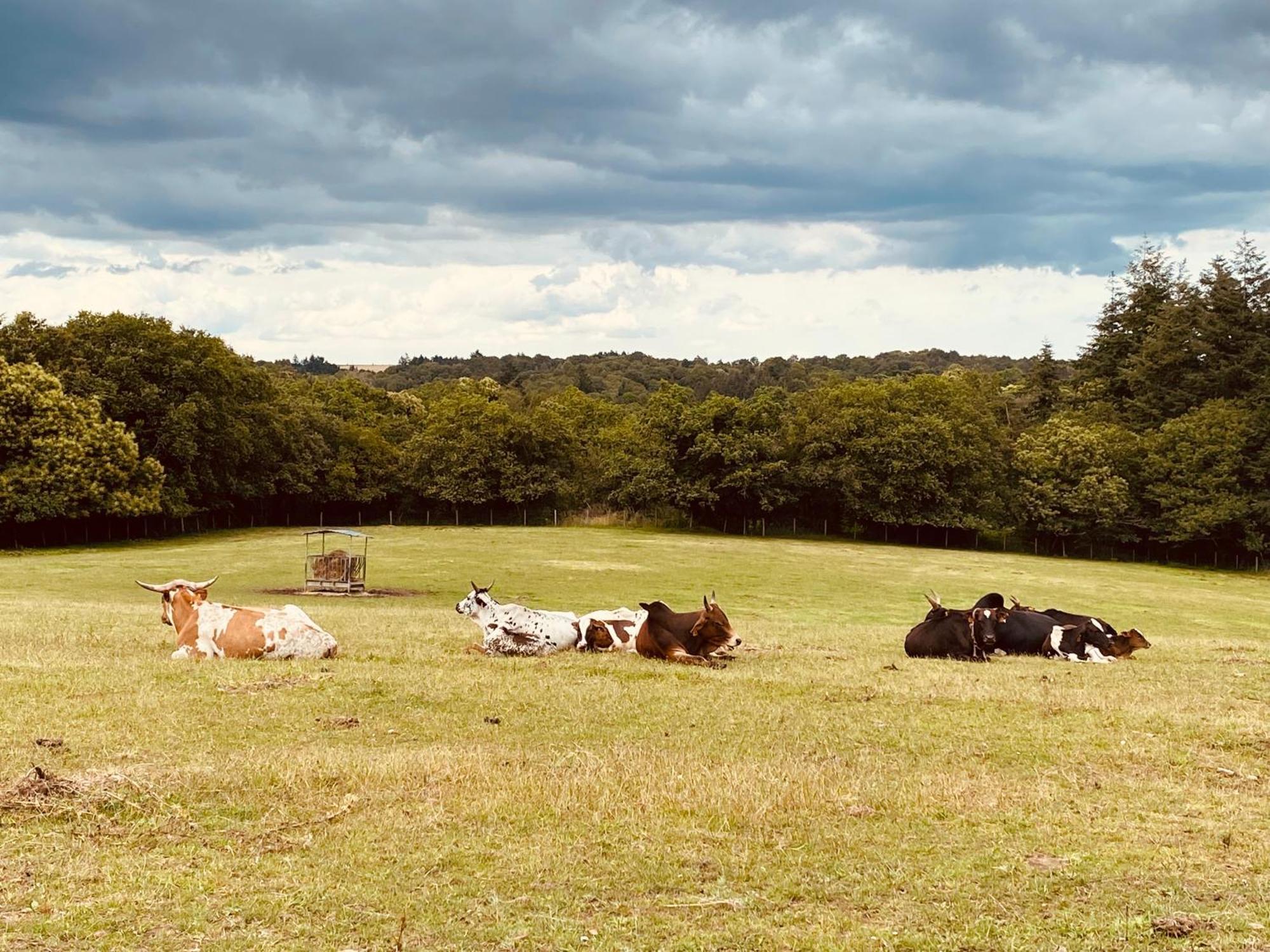 Appartamento Escapade Dans Un Ranch Le Sourn Esterno foto